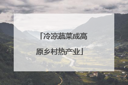 冷凉蔬菜成高原乡村热产业