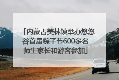 内蒙古美林镇举办悠悠谷首届粽子节600多名师生家长和游客参加