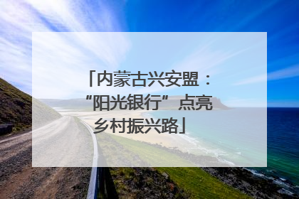 内蒙古兴安盟：“阳光银行”点亮乡村振兴路