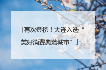 再次登榜！大连入选“美好消费典范城市”