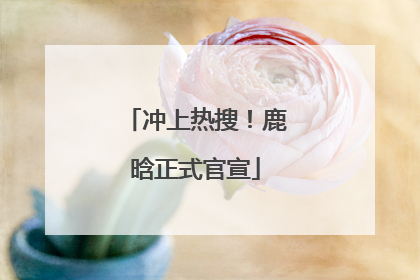 冲上热搜！鹿晗正式官宣