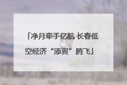 净月牵手亿航 长春低空经济“添翼”腾飞