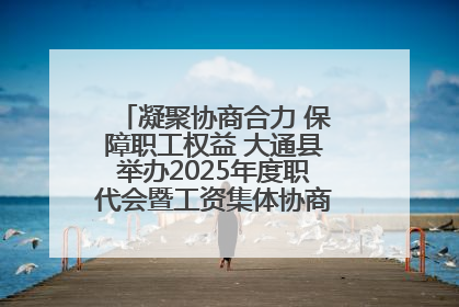 凝聚协商合力 保障职工权益 大通县举办2025年度职代会暨工资集体协商现场观摩交流活动