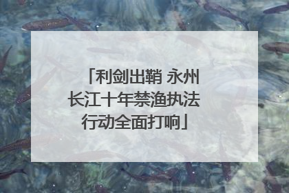 利剑出鞘 永州长江十年禁渔执法行动全面打响