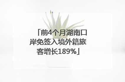 前4个月湖南口岸免签入境外籍旅客增长189%