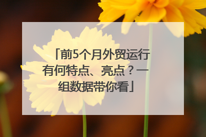 前5个月外贸运行有何特点、亮点？一组数据带你看