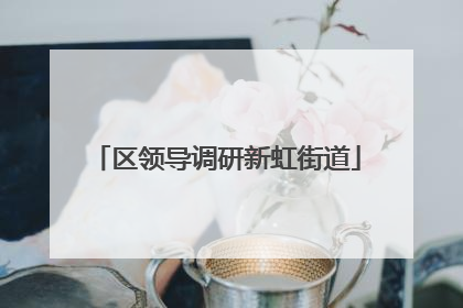 区领导调研新虹街道