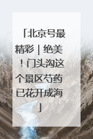 北京号最精彩｜绝美！门头沟这个景区芍药已花开成海