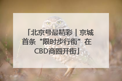 北京号最精彩｜京城首条“限时步行街”在CBD商圈开街