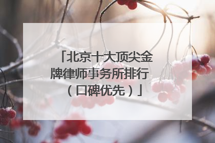北京十大顶尖金牌律师事务所排行（口碑优先）