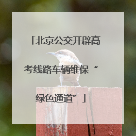 北京公交开辟高考线路车辆维保“绿色通道”