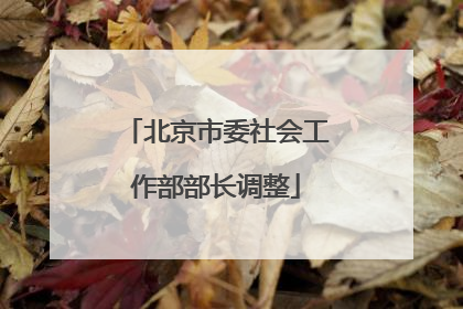 北京市委社会工作部部长调整
