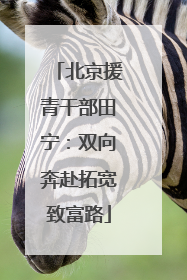 北京援青干部田宁：双向奔赴拓宽致富路