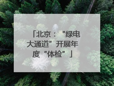 北京：“绿电大通道”开展年度“体检”