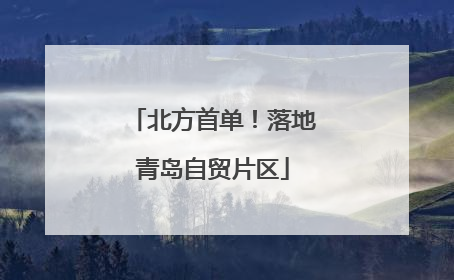 北方首单！落地青岛自贸片区