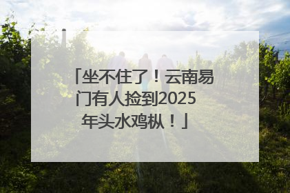 坐不住了！云南易门有人捡到2025年头水鸡枞！