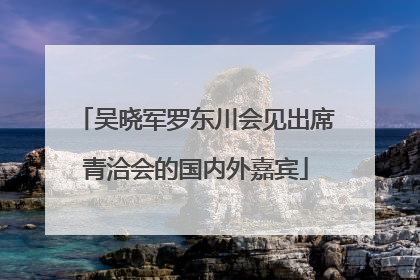 吴晓军罗东川会见出席青洽会的国内外嘉宾