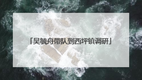 吴毓舟带队到西坪镇调研