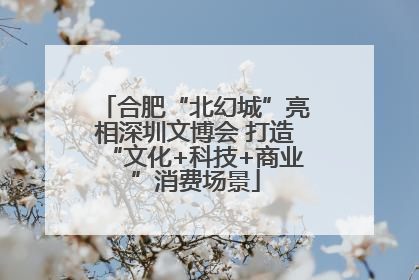 合肥“北幻城”亮相深圳文博会 打造“文化+科技+商业”消费场景