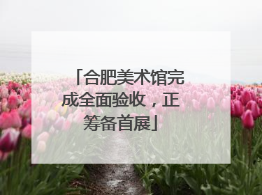 合肥美术馆完成全面验收，正筹备首展