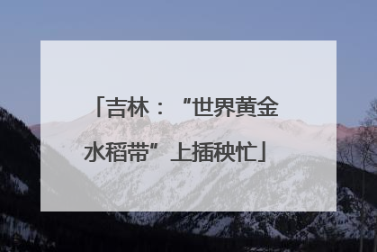 吉林：“世界黄金水稻带”上插秧忙