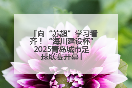 向“苏超”学习看齐！“海川建设杯”2025青岛城市足球联赛开幕