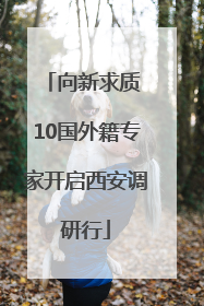 向新求质 10国外籍专家开启西安调研行