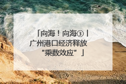 向海！向海③丨广州港口经济释放“乘数效应”