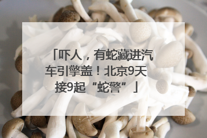 吓人，有蛇藏进汽车引擎盖！北京9天接9起“蛇警”