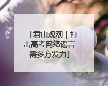君山观潮｜打击高考网络谣言需多方发力