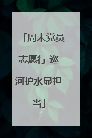 周末党员志愿行 巡河护水显担当