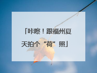 咔嚓！跟福州夏天拍个“荷”照