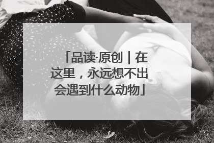品读·原创｜在这里，永远想不出会遇到什么动物