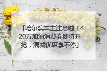 哈尔滨车主注意啦！420万加油消费券即将开抢，满减优惠享不停