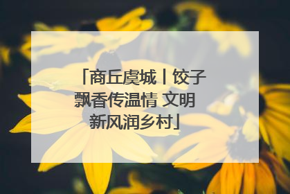 商丘虞城丨饺子飘香传温情 文明新风润乡村