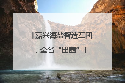 嘉兴海盐智造军团，全省“出圈”