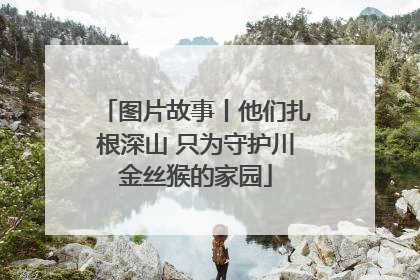 图片故事丨他们扎根深山 只为守护川金丝猴的家园