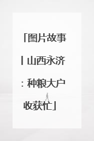 图片故事丨山西永济：种粮大户收获忙
