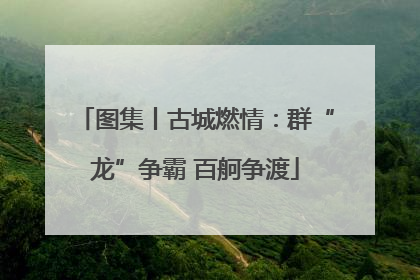 图集丨古城燃情：群“龙”争霸 百舸争渡