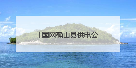 国网确山县供电公司：“粽”情“粽”意 安康常驻端午
