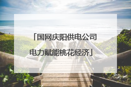 国网庆阳供电公司电力赋能桃花经济