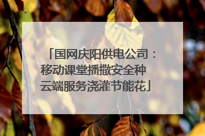 国网庆阳供电公司：移动课堂播撒安全种 云端服务浇灌节能花