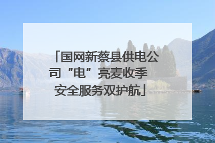 国网新蔡县供电公司“电”亮麦收季 安全服务双护航