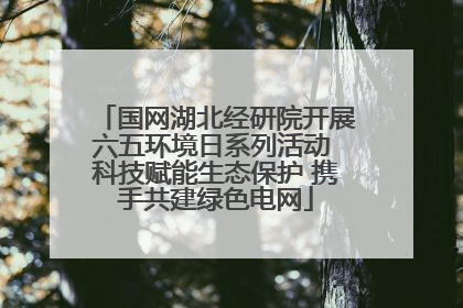 国网湖北经研院开展六五环境日系列活动 科技赋能生态保护 携手共建绿色电网