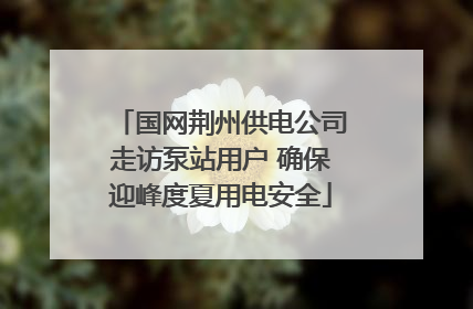 国网荆州供电公司走访泵站用户 确保迎峰度夏用电安全