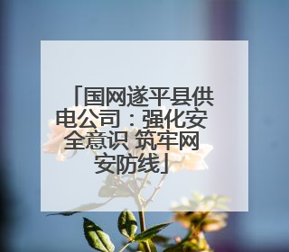 国网遂平县供电公司：强化安全意识 筑牢网安防线