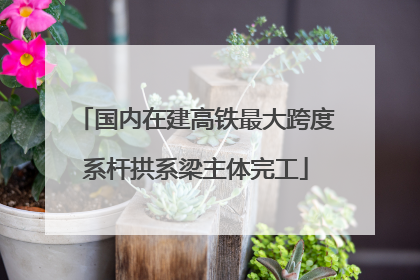国内在建高铁最大跨度系杆拱系梁主体完工