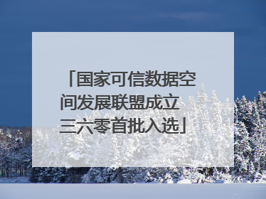 国家可信数据空间发展联盟成立 三六零首批入选