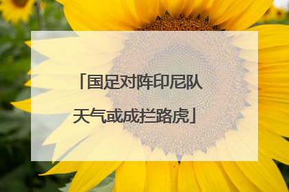 国足对阵印尼队 天气或成拦路虎