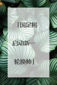 国足将启动新一轮换帅